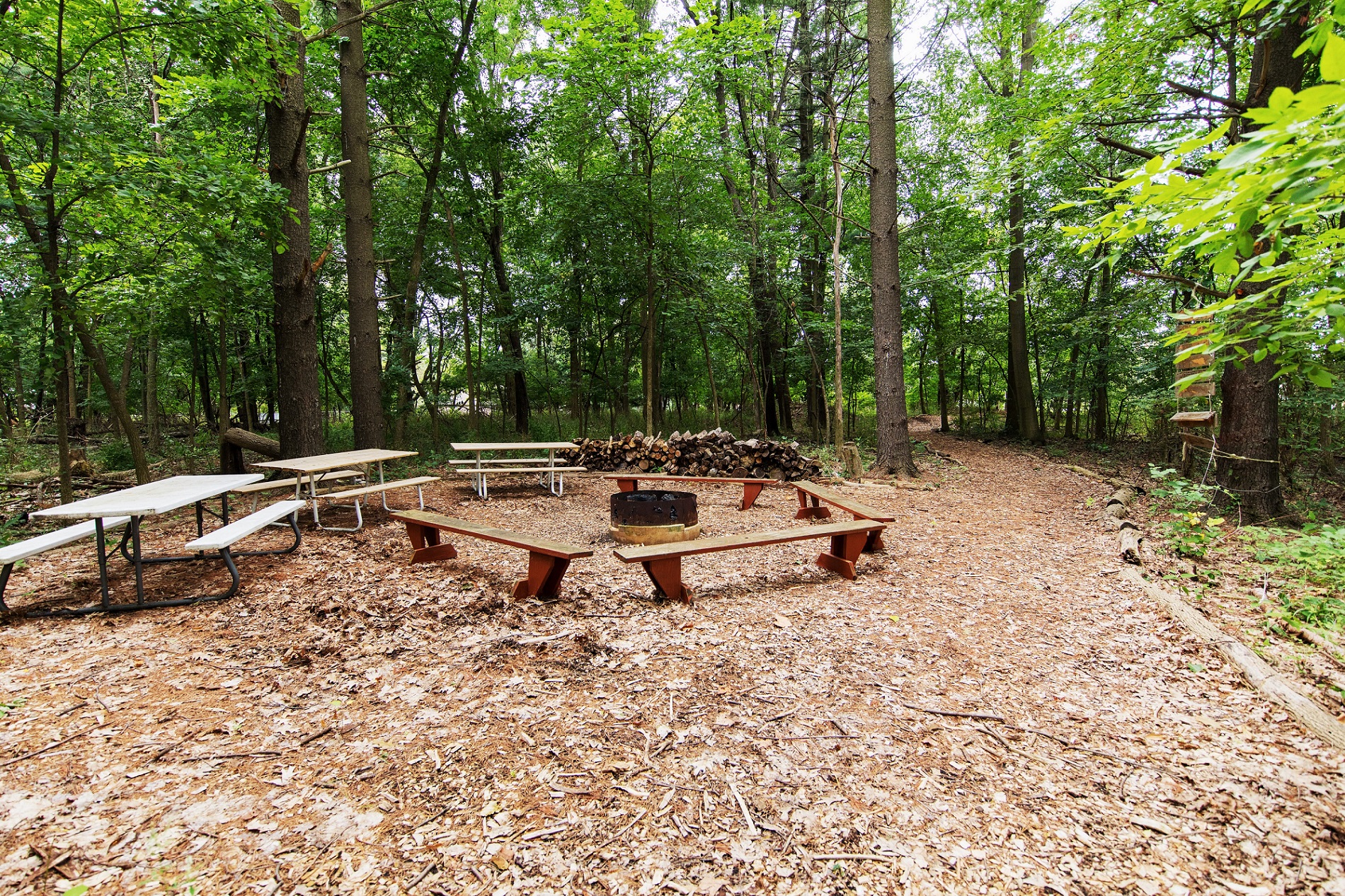 Photos and Video of Stoddard Student Living Center in East Lansing, MI